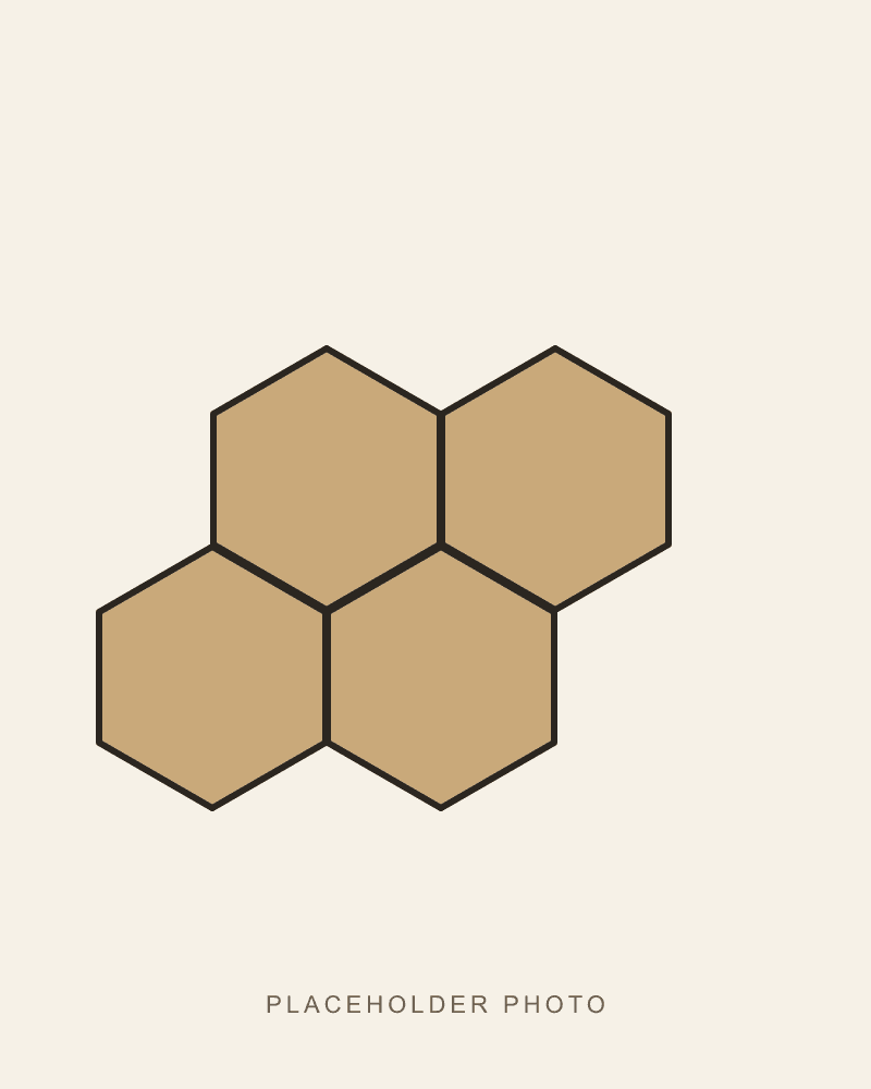 Set of four hexagon coasters in oak