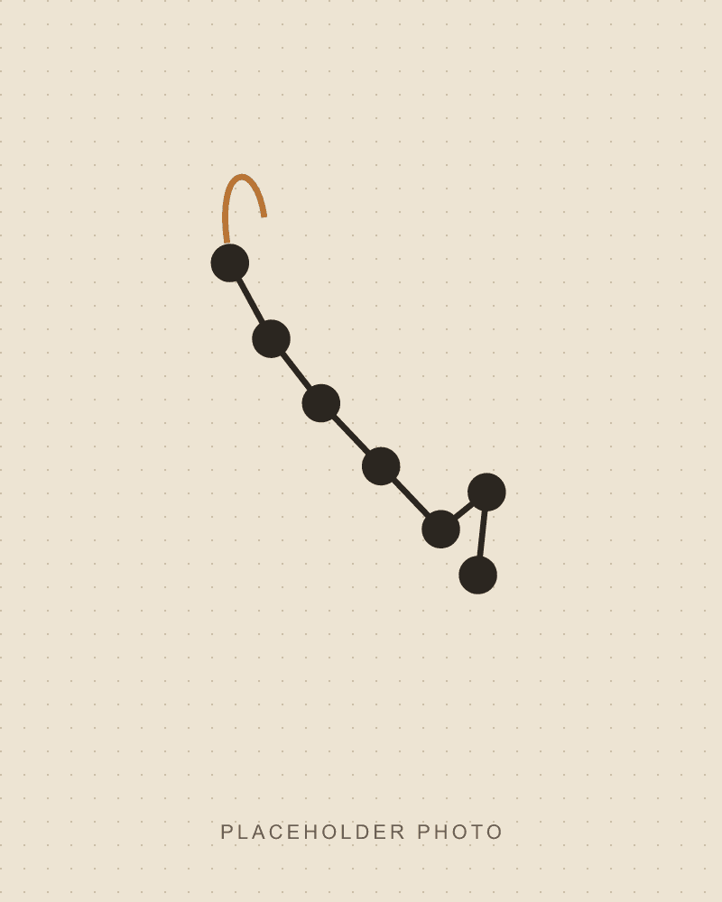 Ursa Minor earrings, detail